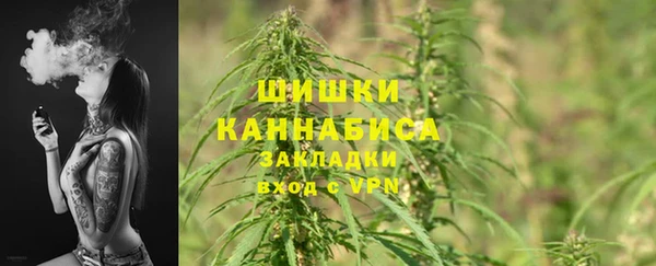 стаф Богородицк