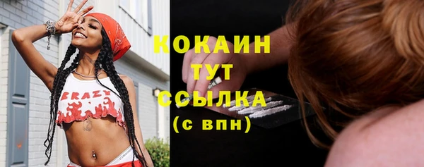 амф Богданович