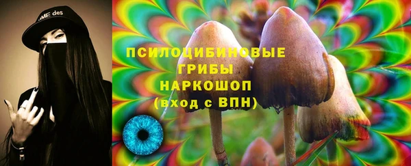 стаф Богородицк